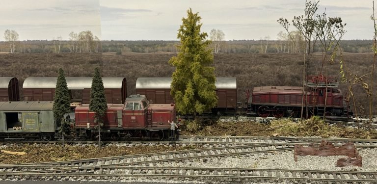 V65 and E160 locomotives on a Gauge 1 model railway
