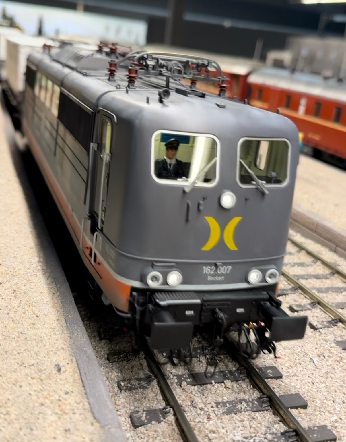 Electric locomotive on a Gauge 1 model railway layout