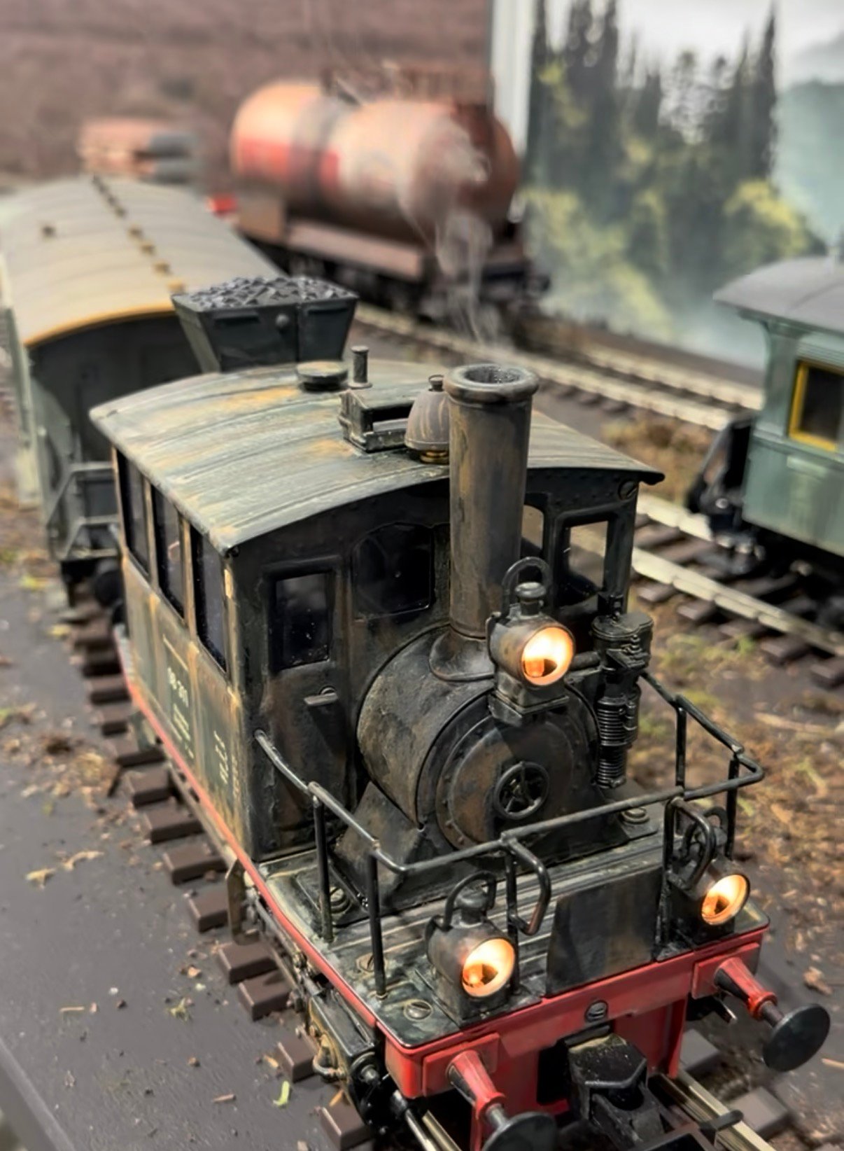Steam locomotive on a Gauge 1 model railway layout